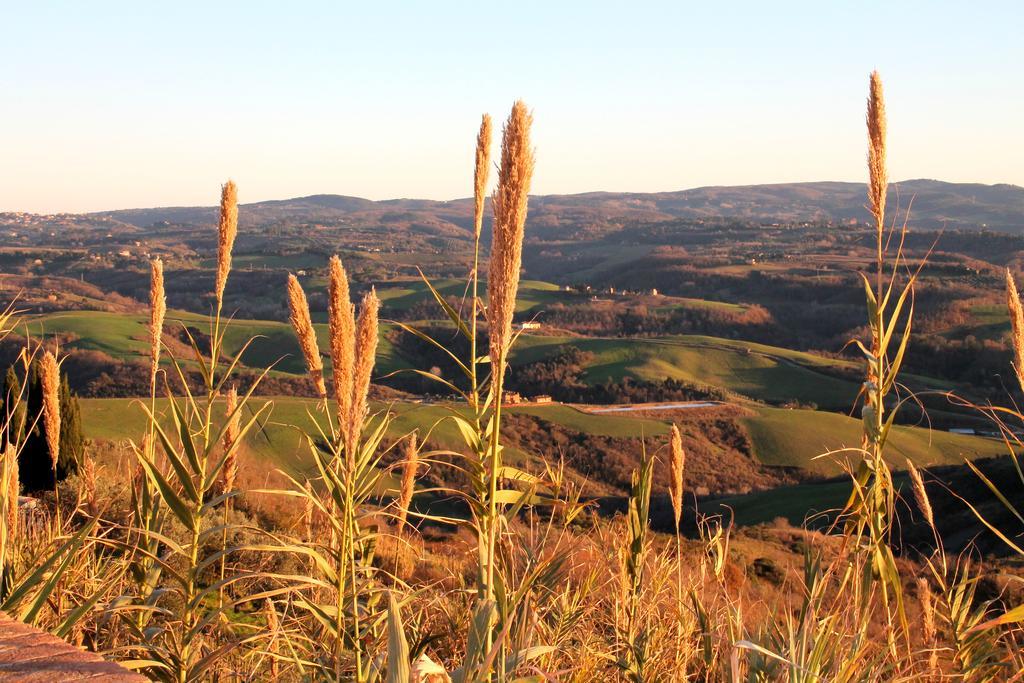 Agriturismo Le Docce Castelfiorentino Eksteriør bilde