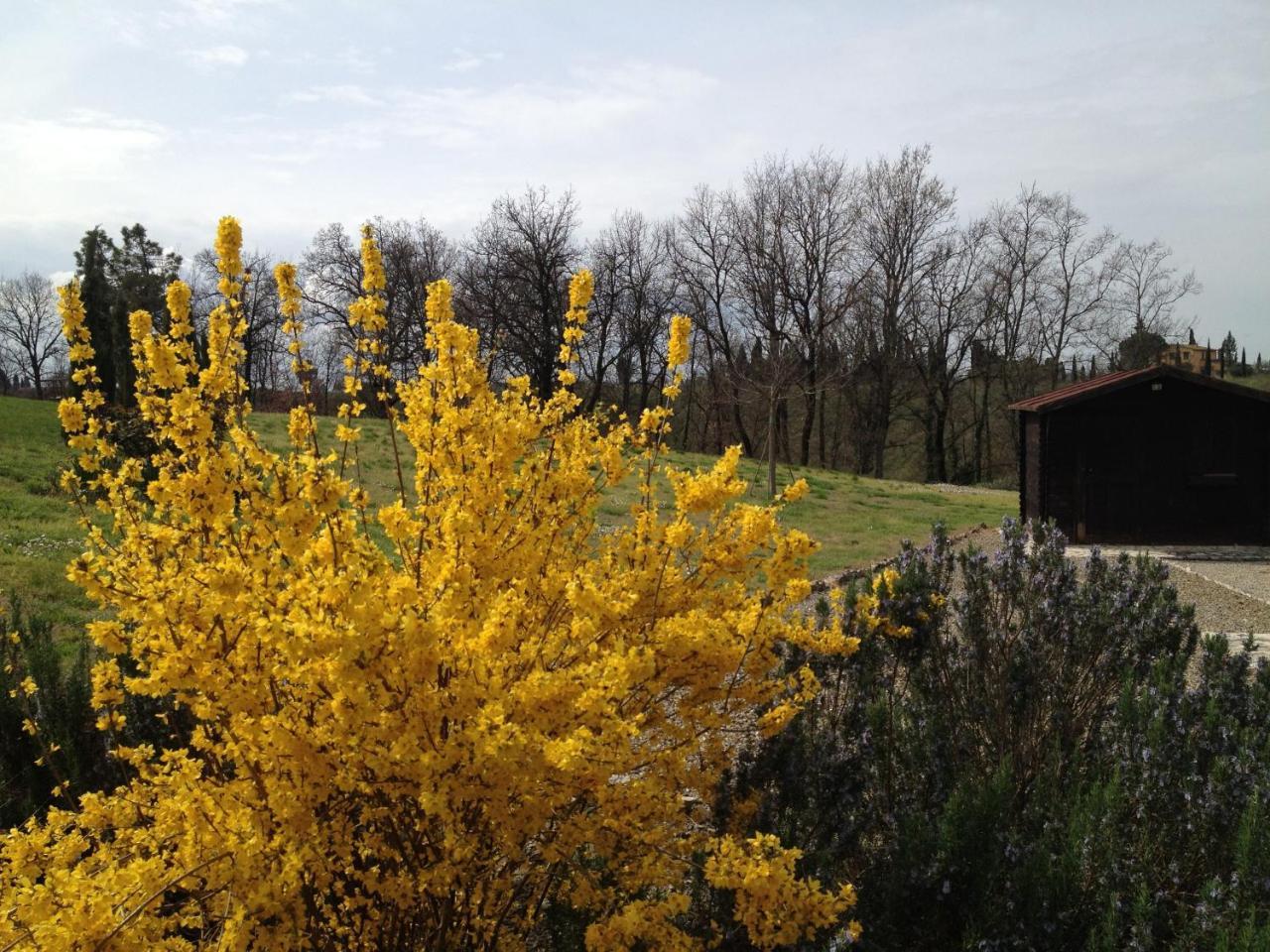 Agriturismo Le Docce Castelfiorentino Eksteriør bilde